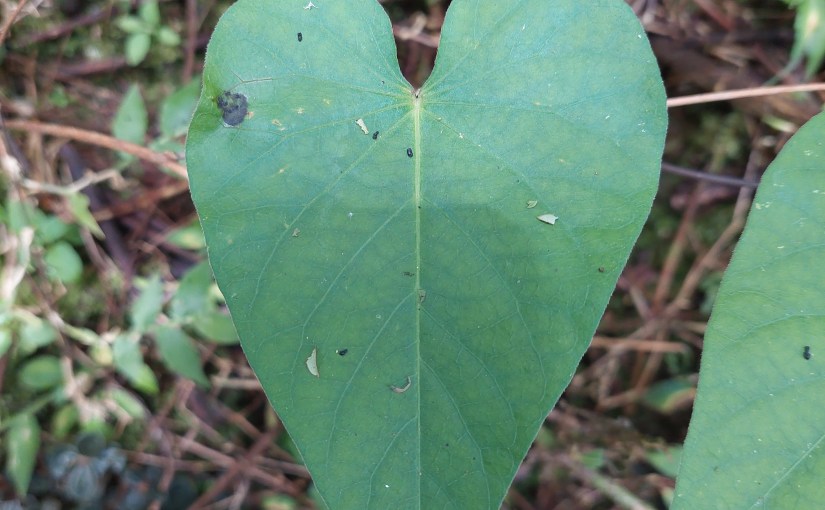 Persönliche Einblicke in&nbsp;Kurzform
