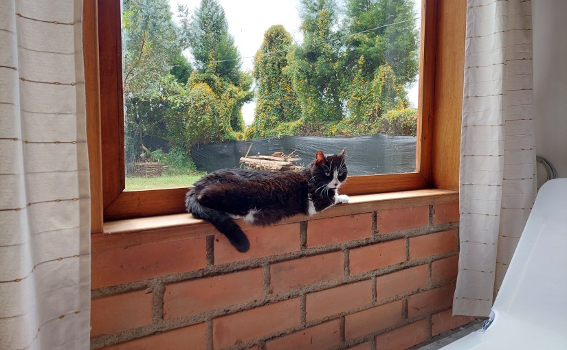 Leben auf dem Land-ein&nbsp;Genuss